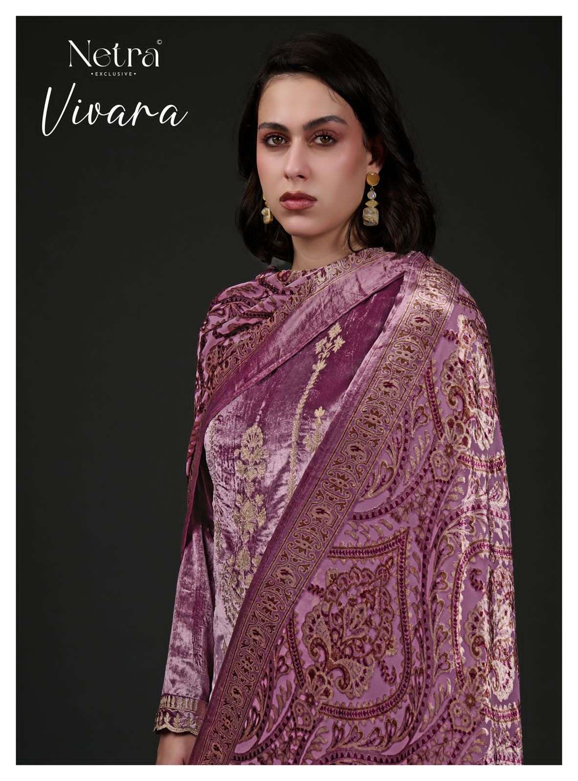 NETRA VIVARA PARTYWEAR STYLE VELVET SUIT WHOLESALER BEST RATE 
