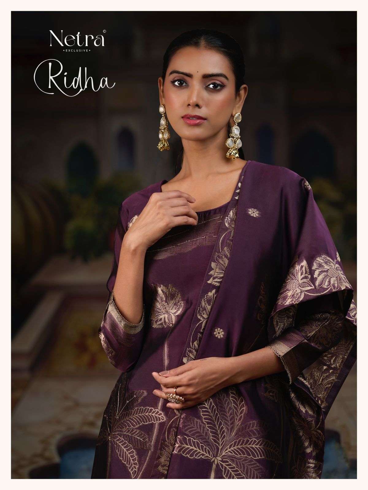 NETRA RIDHA PARTYWEAR DRESS CATALOG SUPPLIER 