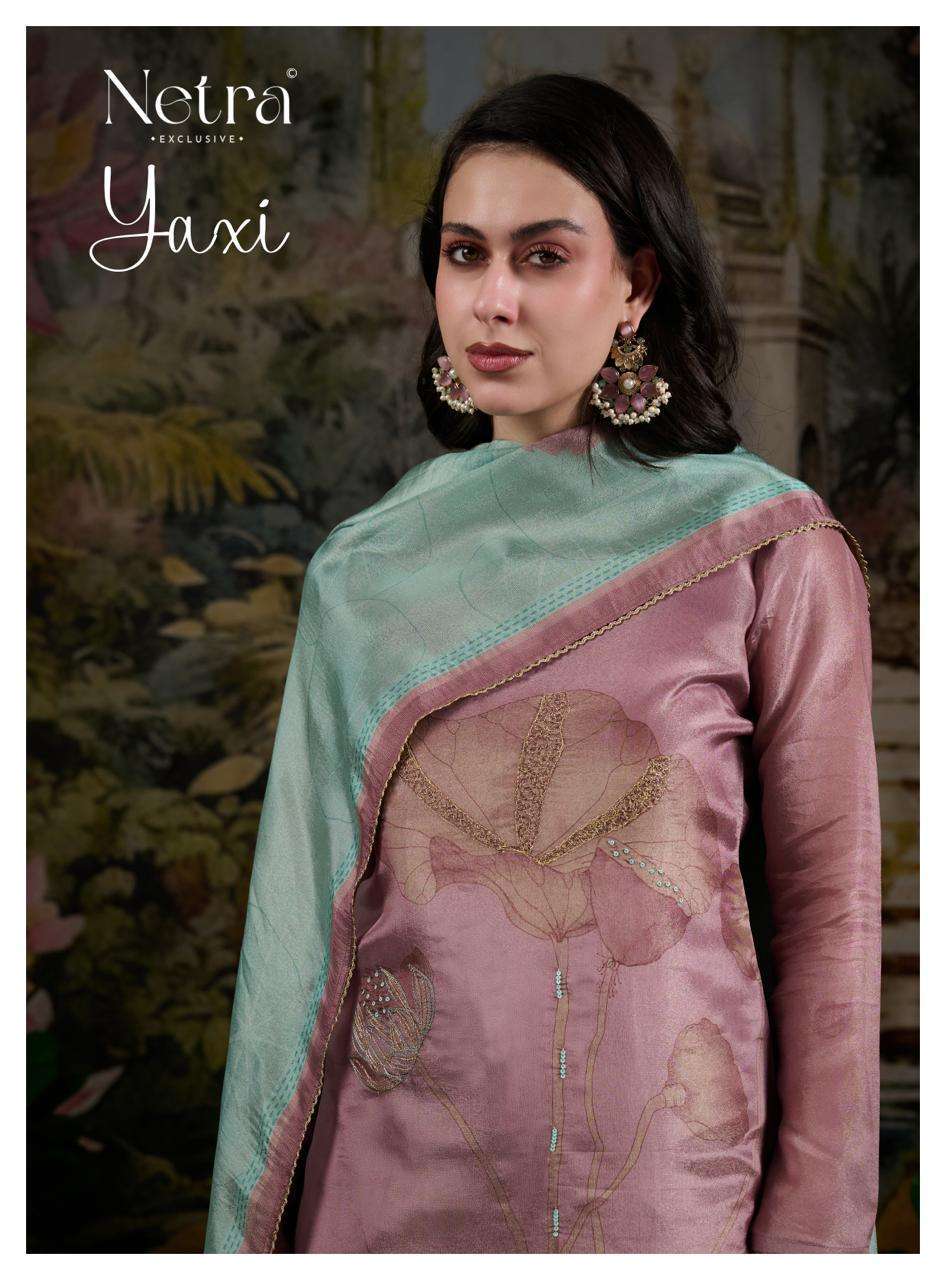 NETRA YAXI DESIGNER SILK LATEST CATALOGUE WHOLESALER BEST RATE 