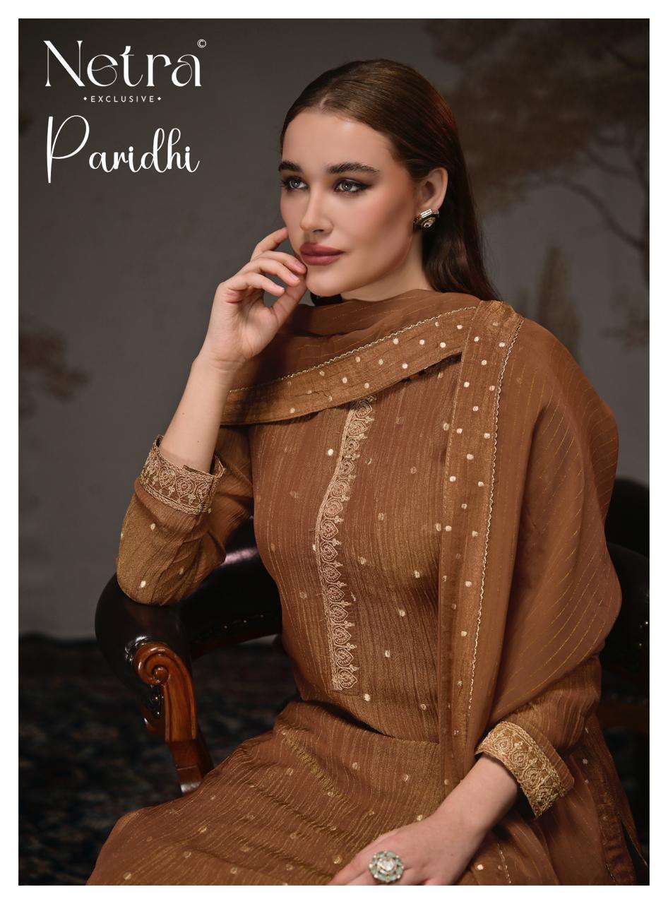 NETRA PARIDHI BEMBERG CRUSH EMBROIDERED SALWER KAMEEZ BEST RATE