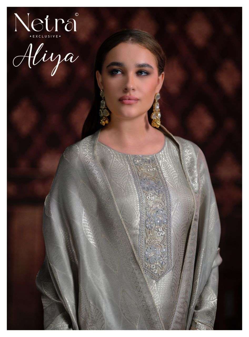 NETRA ALIYA BEMBERG SILK EMBROIDERY SALWER KAMEEZ BEST RATE 