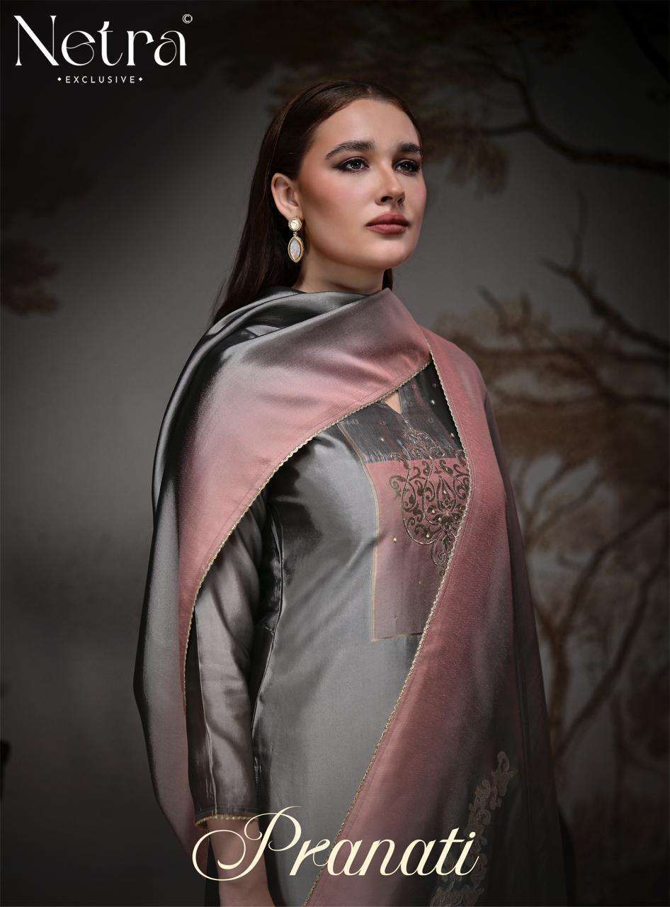 NETRA PRANATI FANCY HANDWORK VISCOSE WOVEN SILK SALWER KAMEEZ BEST RATE 