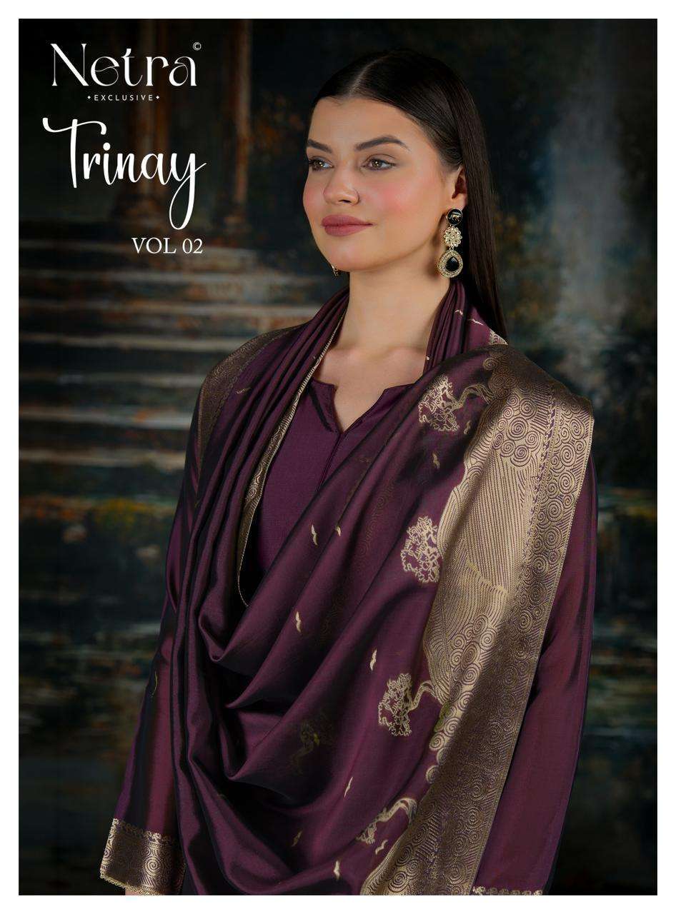 NETRA TRINAY VOL 2 PARTYWEAR LADIES SUIT CATALOGUE SUPPLIER BEST RATE 