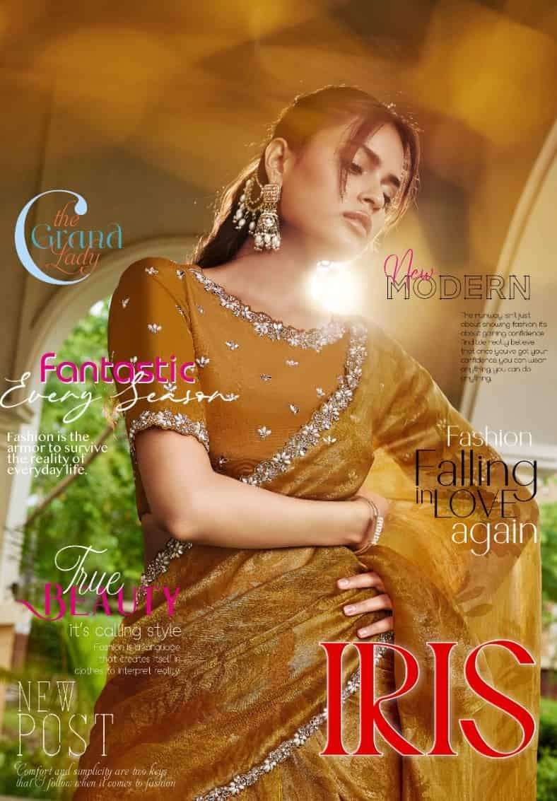Mahotsav Norita 45000 Series Fancy Silk Saree Collection Wholesale