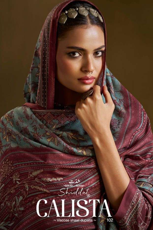 Shiddat calista 102 viscose pashmina winter wear salwar kameez wholesaler