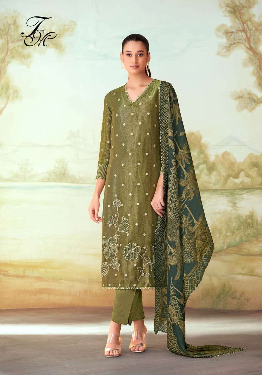 T AND M DESIGNER AISHANI DESIGNER TISSUE FABRIC CATALOGUE WHOLESALER 2024